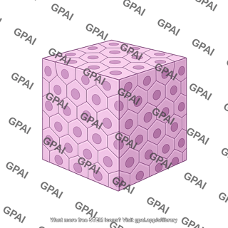 Tissue cube generic