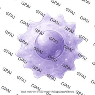 Macrophage editable