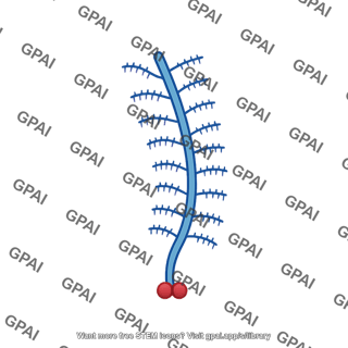 Proteoglycan monomer