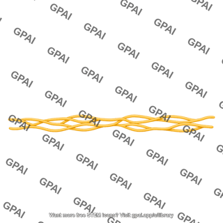 Elastin stretched long