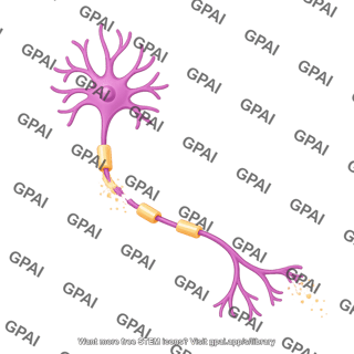 Multipolar neuron motor axotomy