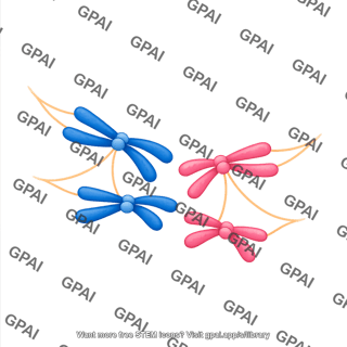 Meiosis anaphase i chromosomes
