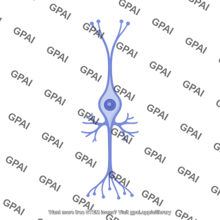 Retinal cell m ller glia