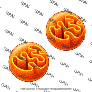 Mitochondria spherical 2