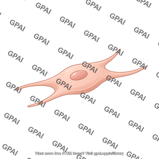 Fibroblast active 1 editable