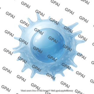 B cell 3d