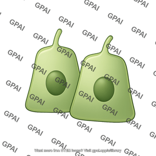 Cholangiocyte large 2