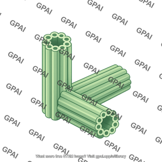 Centrosome