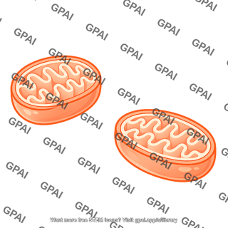 Mitochondria schematic bilayer 02
