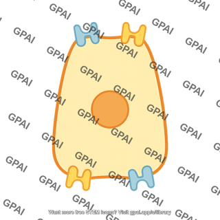 Ionocyte 01