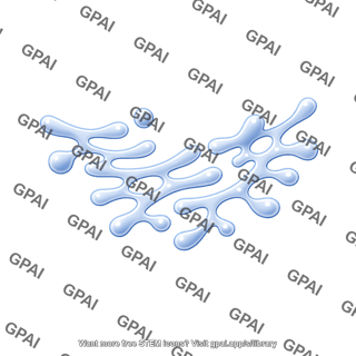 Smooth endoplasmic reticulum 2d
