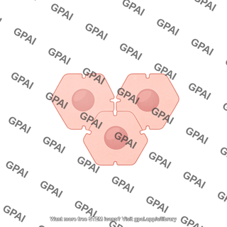 Hepatocytes