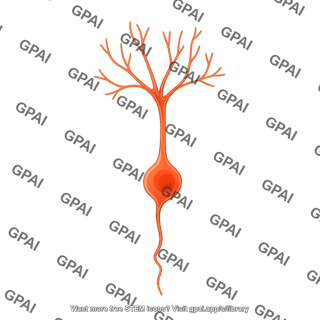 Granule neuron mature 1