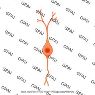 Granule neuron immature early branching 01