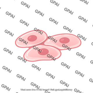 Cell squamous 5 02
