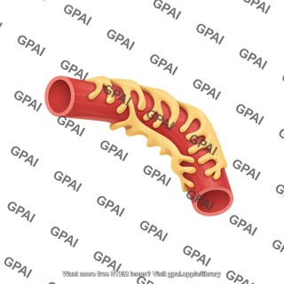 Podocyte around vessel