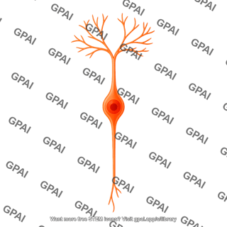 Granule neuron radial glial progenitor 01