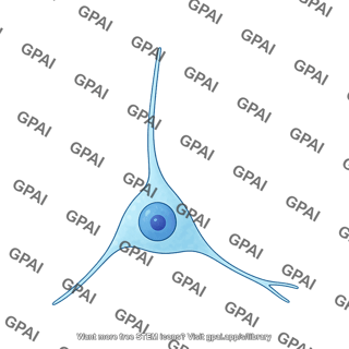 Neuroblastoma sh sy5y differentiated 1