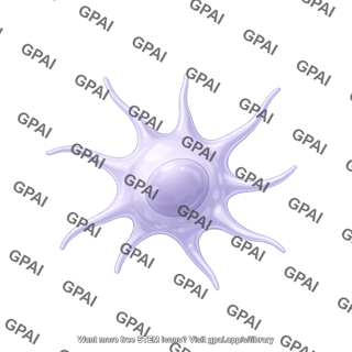 Dendritic cell 3d