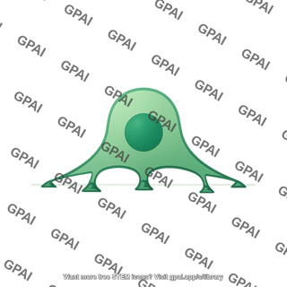 Anchor cell 1