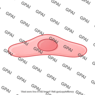 Endothelial cell 7 01