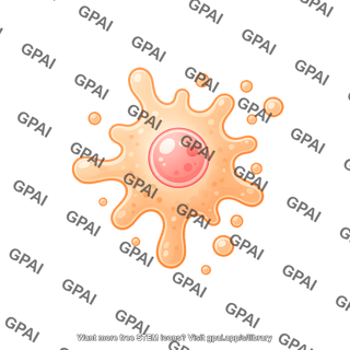 Cell shape 2 01