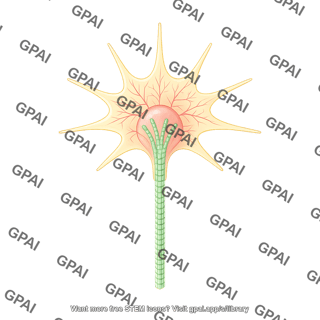 Growth cone with microtubules