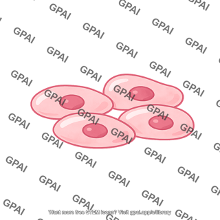 Cell squamous 4 02
