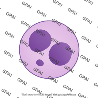 Micronucleated cell