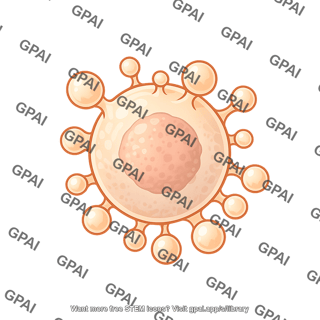Spheroidal cell apoptosis blebbing