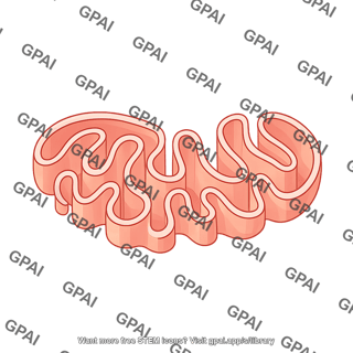 Mitochondria 2d innermatrix 02
