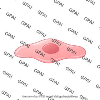 Cell squamous