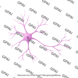 Cortical neuron cultured 1