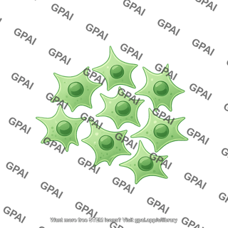 Hek 293 cells group