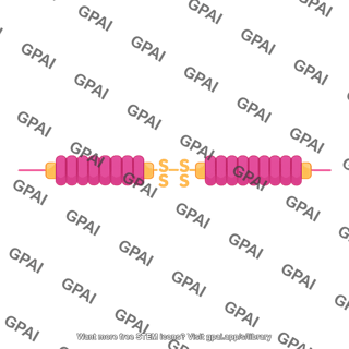 Fibronectin no variable region