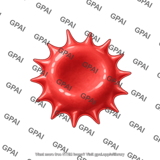 Red blood cell echinocyte
