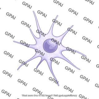 Dendritic cell immature