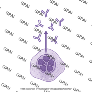 Plasma cell with antibodies 1