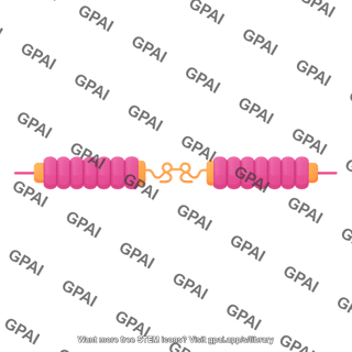 Fibronectin variable region