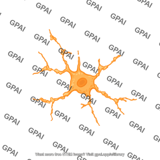 Microglia dystrophic
