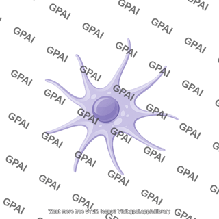 Dendritic cell follicular