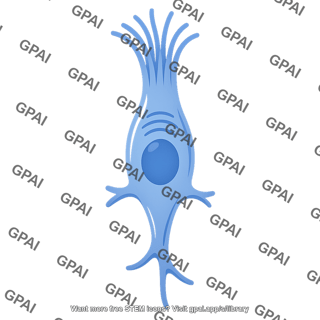 Tuft cell 1