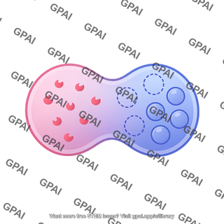 Endolysosome