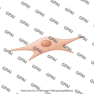 Fibroblast resting editable