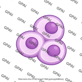 Chondrocyte isogenic group