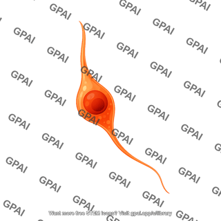 Granule neuron immature early single process