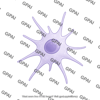 Dendritic cell editable