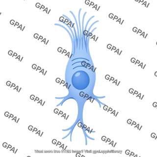 Tuft cell