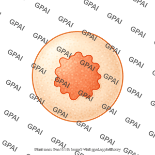 Spheroidal cell editable