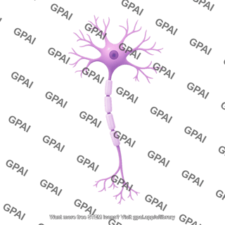 Multipolar neuron motor editable axon